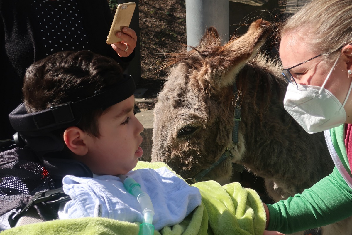 mobileTierfarm422